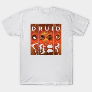 Druid - Specialization & Artifact Weapon T-Shirt